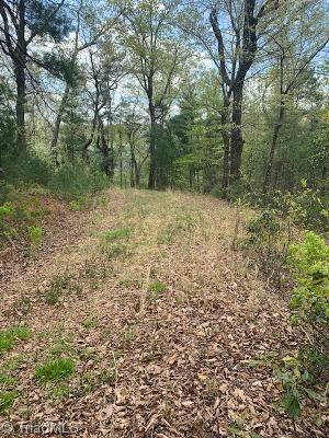 0 White Tail Trail Purlear, NC 28665 - Photo 2 of 3