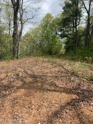 0 White Tail Trail Purlear, NC 28665 - Photo 3 of 3