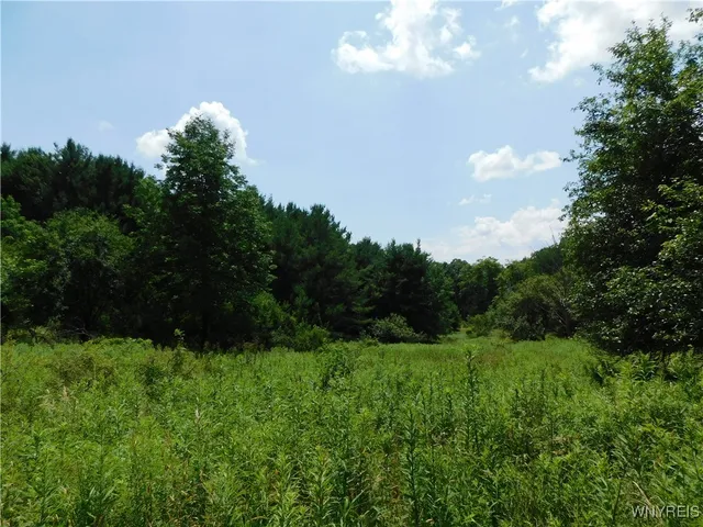 $150,000 | 572 Horse Run Road, Bolivar, NY 14754