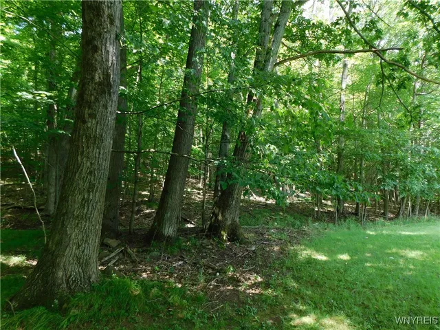 $150,000 | 572 Horse Run Road, Bolivar, NY 14754