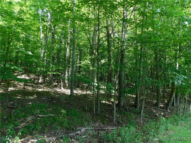 $150,000 | 572 Horse Run Road, Bolivar, NY 14754