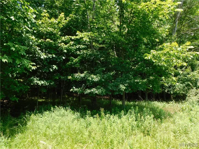 $150,000 | 572 Horse Run Road, Bolivar, NY 14754