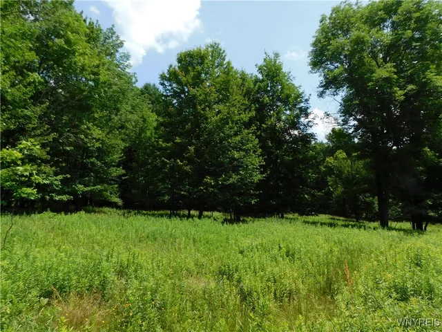 $150,000 | 572 Horse Run Road, Bolivar, NY 14754