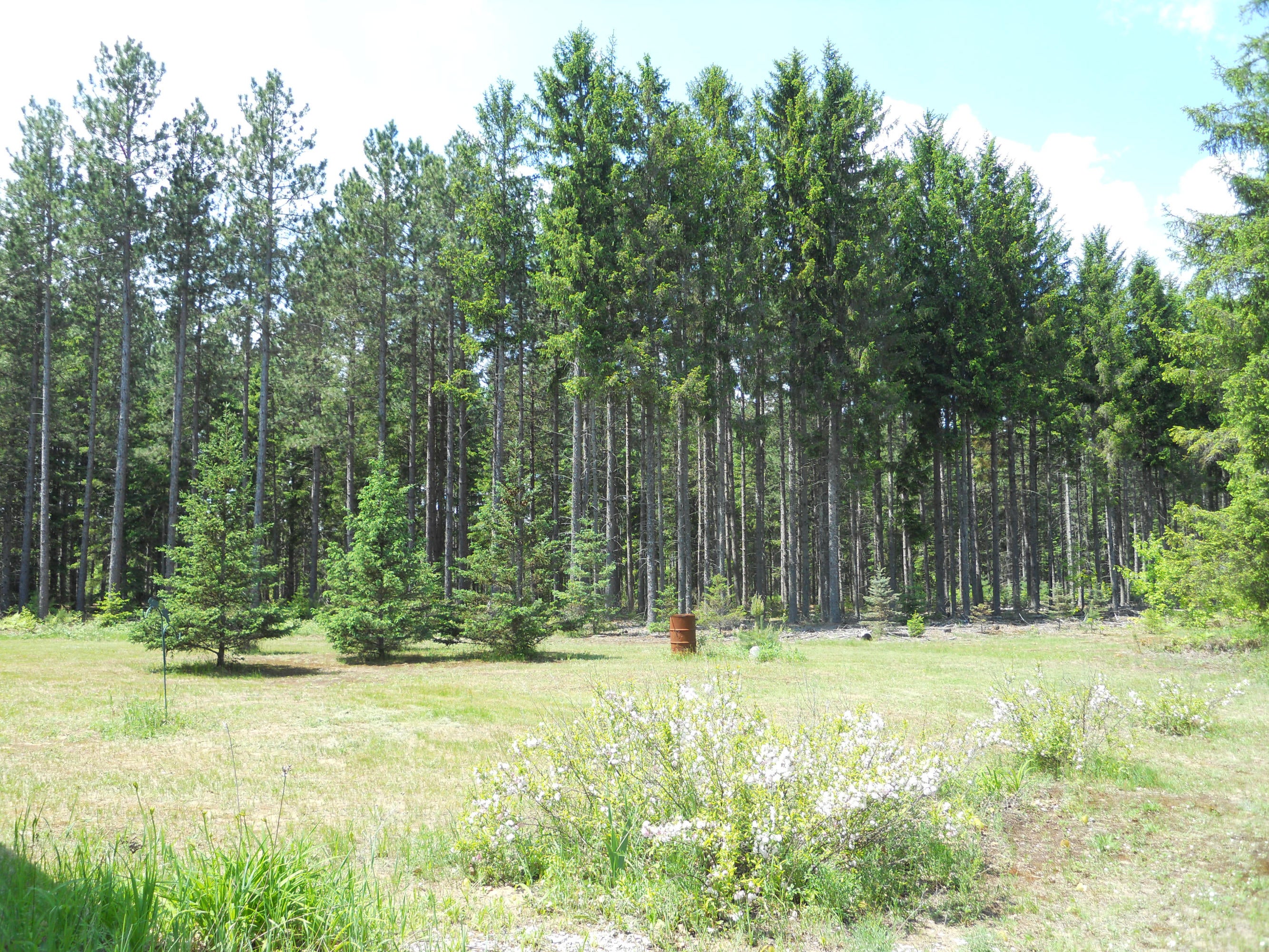 25448 South Fairview Road Pickford, MI 49774 - Photo 18 of 32 Gallery Image 18