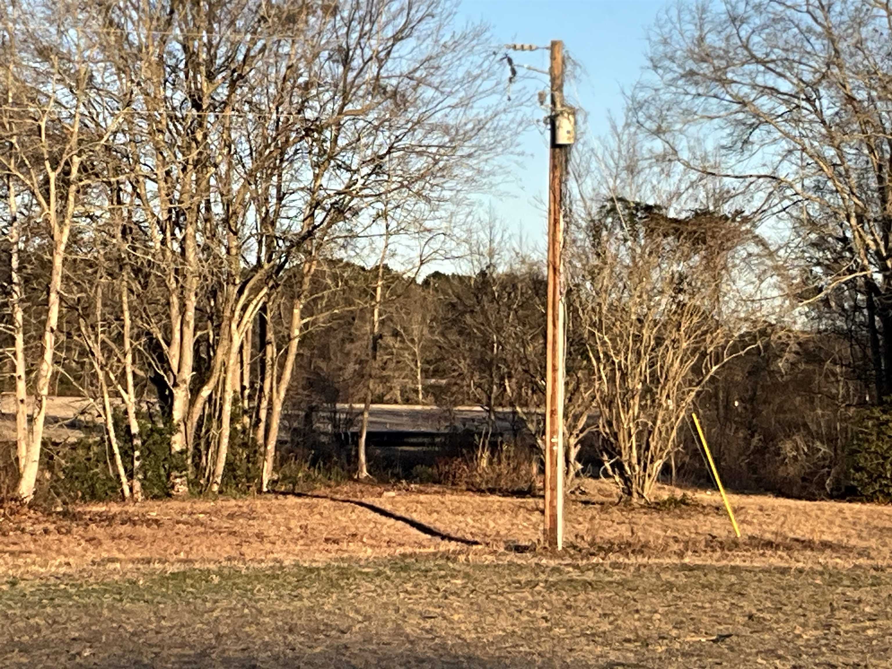 Tbd Senator Gasque Road Mullins, SC 29574 - Photo 11 of 15 View of nature