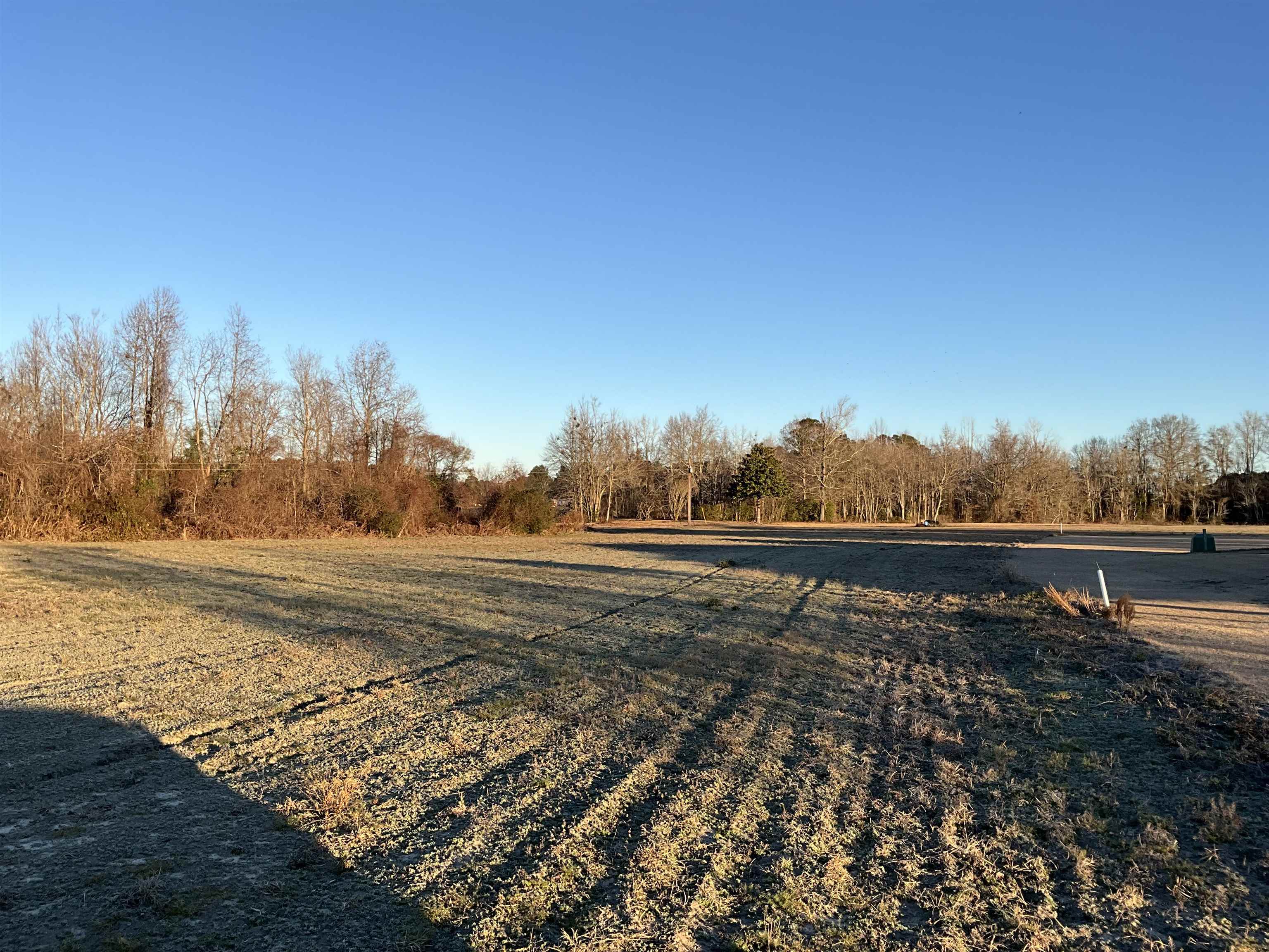 Tbd Senator Gasque Road Mullins, SC 29574 - Photo 12 of 15 View of yard