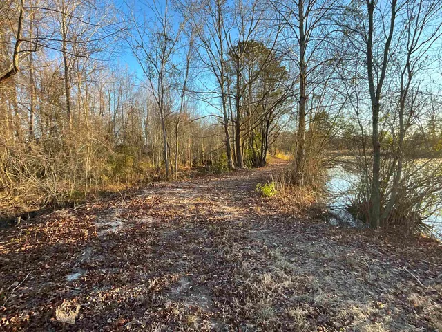 $150,000 | Tbd Senator Gasque Road, Mullins, SC 29574