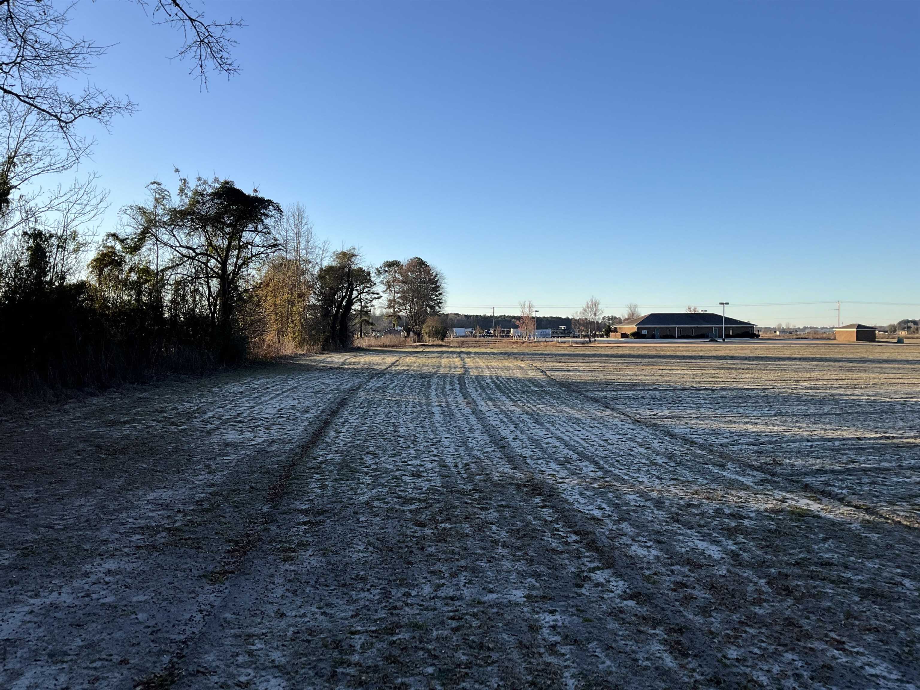 Tbd Senator Gasque Road Mullins, SC 29574 - Photo 5 of 15 View of street