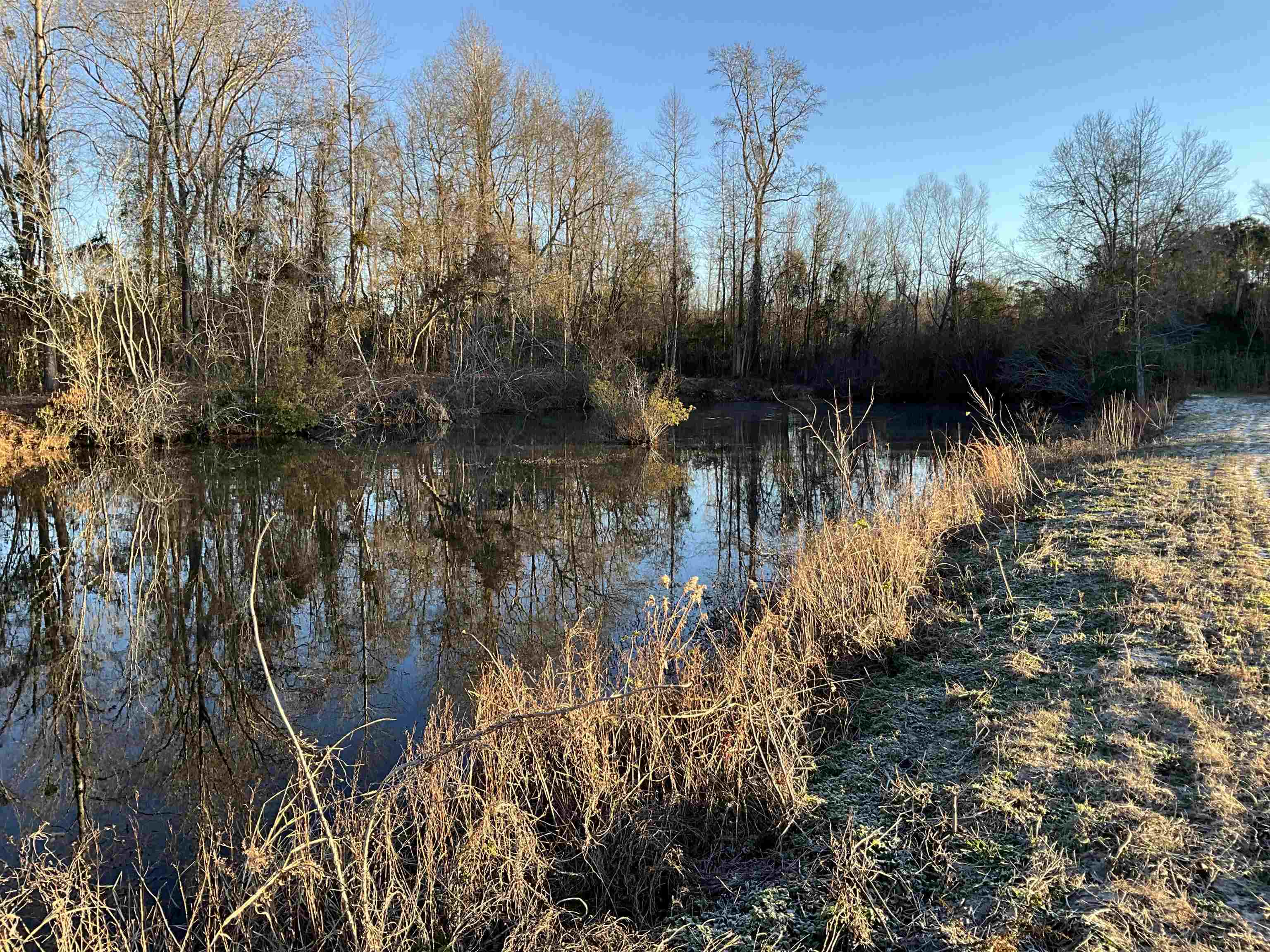 Tbd Senator Gasque Road Mullins, SC 29574 - Photo 6 of 15 Water view