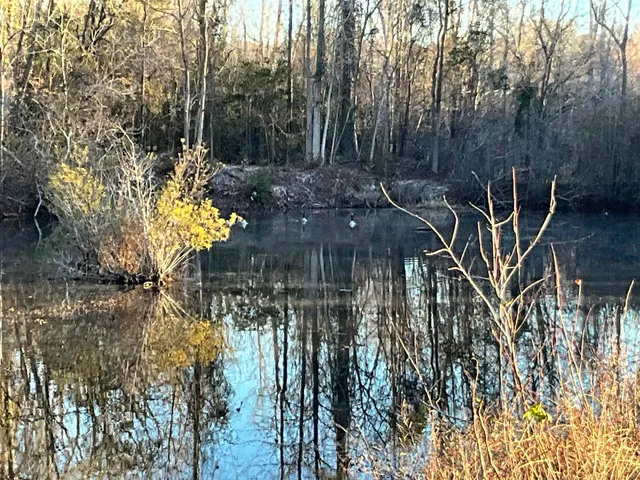 $150,000 | Tbd Senator Gasque Road, Mullins, SC 29574