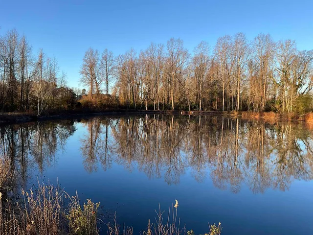 $150,000 | Tbd Senator Gasque Road, Mullins, SC 29574