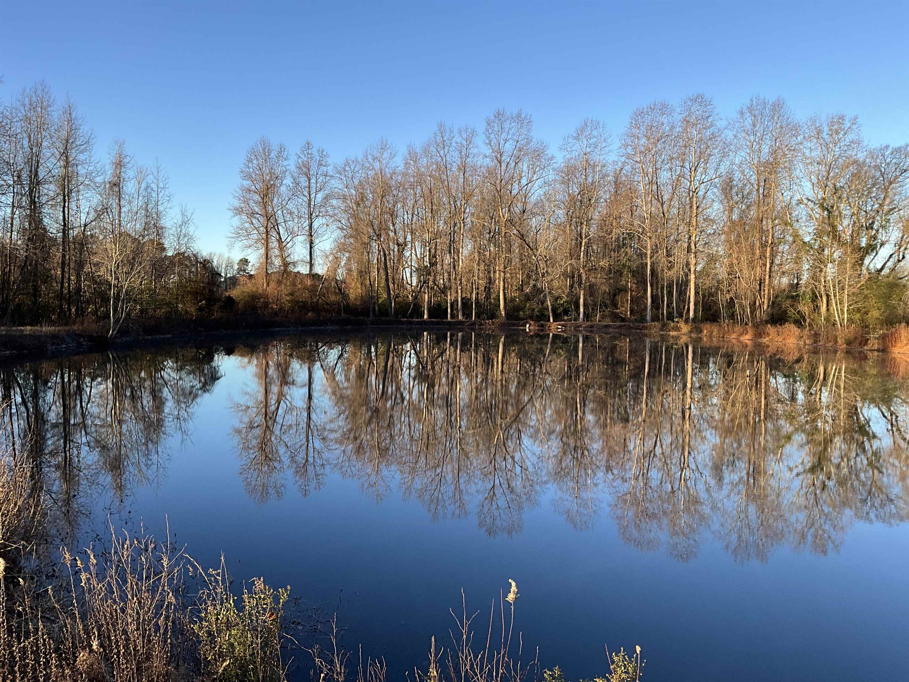 Tbd Senator Gasque Road Mullins, SC 29574 - Photo 10 of 15 Water view
