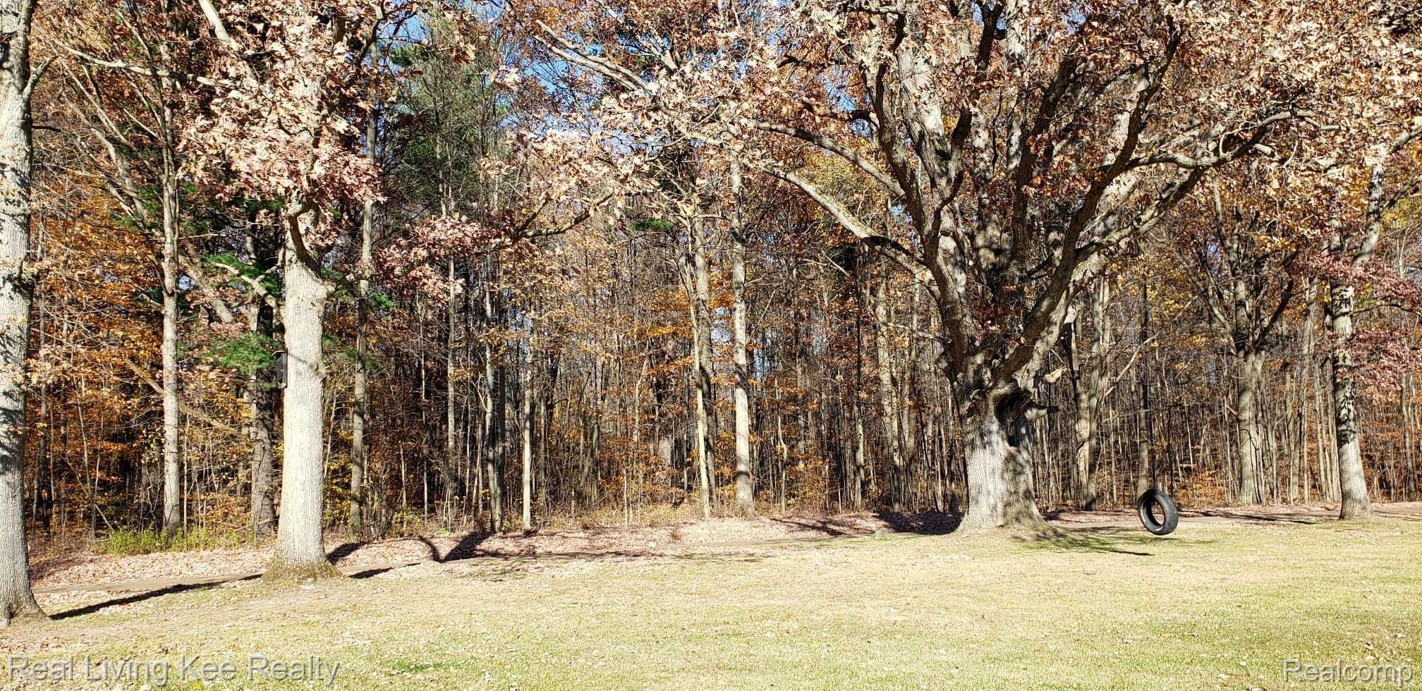 3849 Williams Road Columbiaville, MI 48421 - Photo 27 of 27 Woods- Swing.jpg