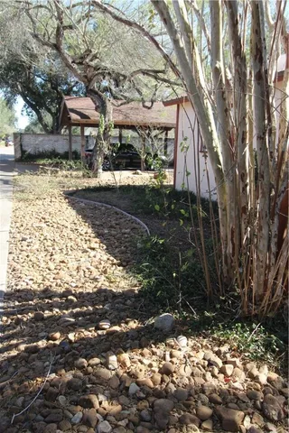 a view of a yard with plants and trees