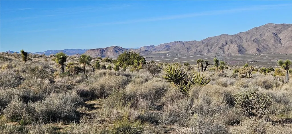 26845 Grandview Road Apple Valley, MN 55124 - Photo 4 of 5 a view of a yard with a street