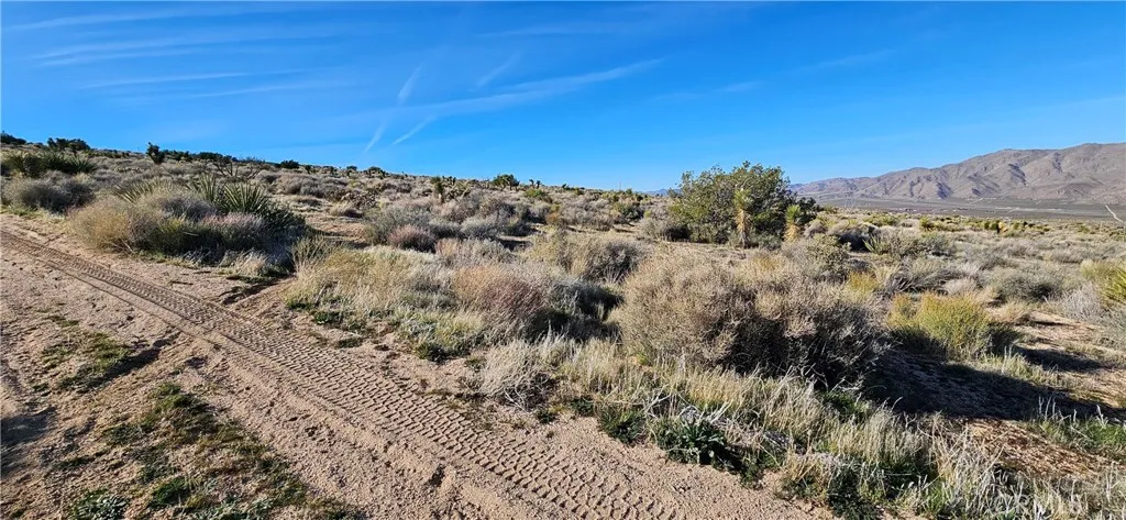 26845 Grandview Road Apple Valley, MN 55124 - Photo 5 of 5 a view of a sky