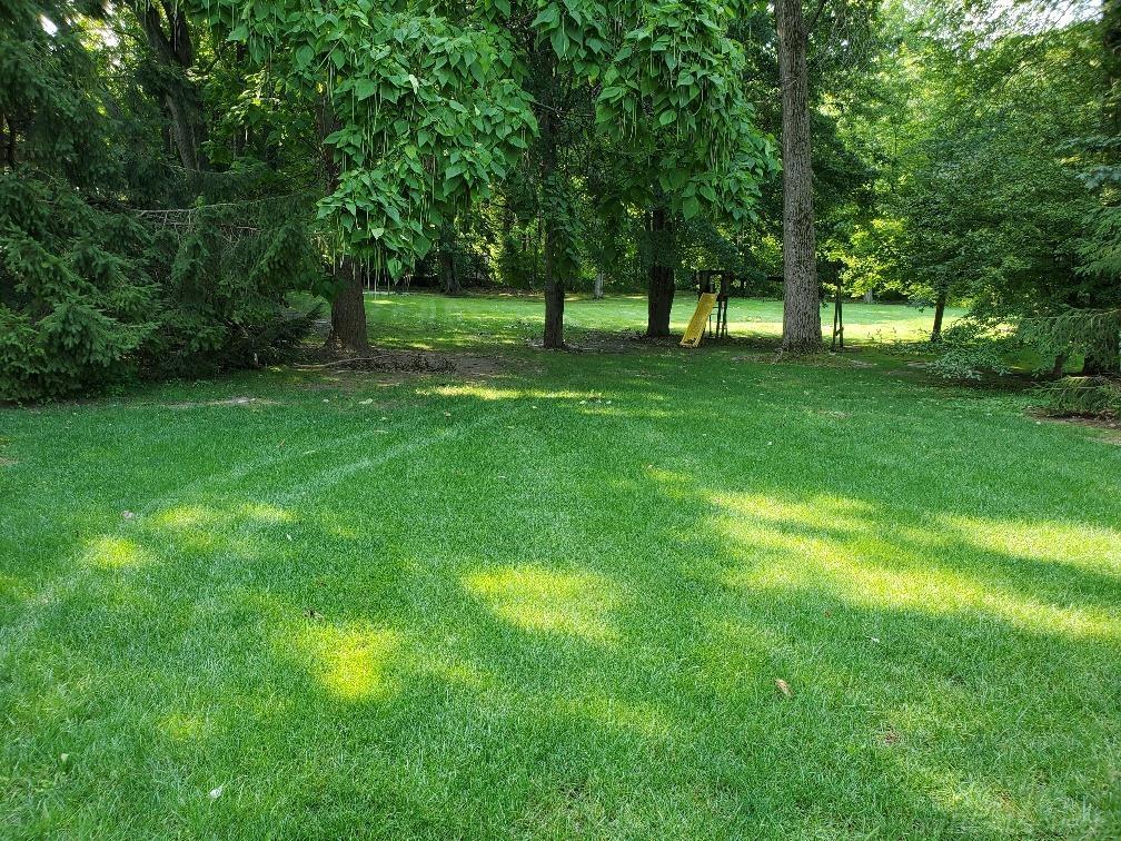 48164 Sugarbush Road Chesterfield, MI 48047 - Photo 5 of 59