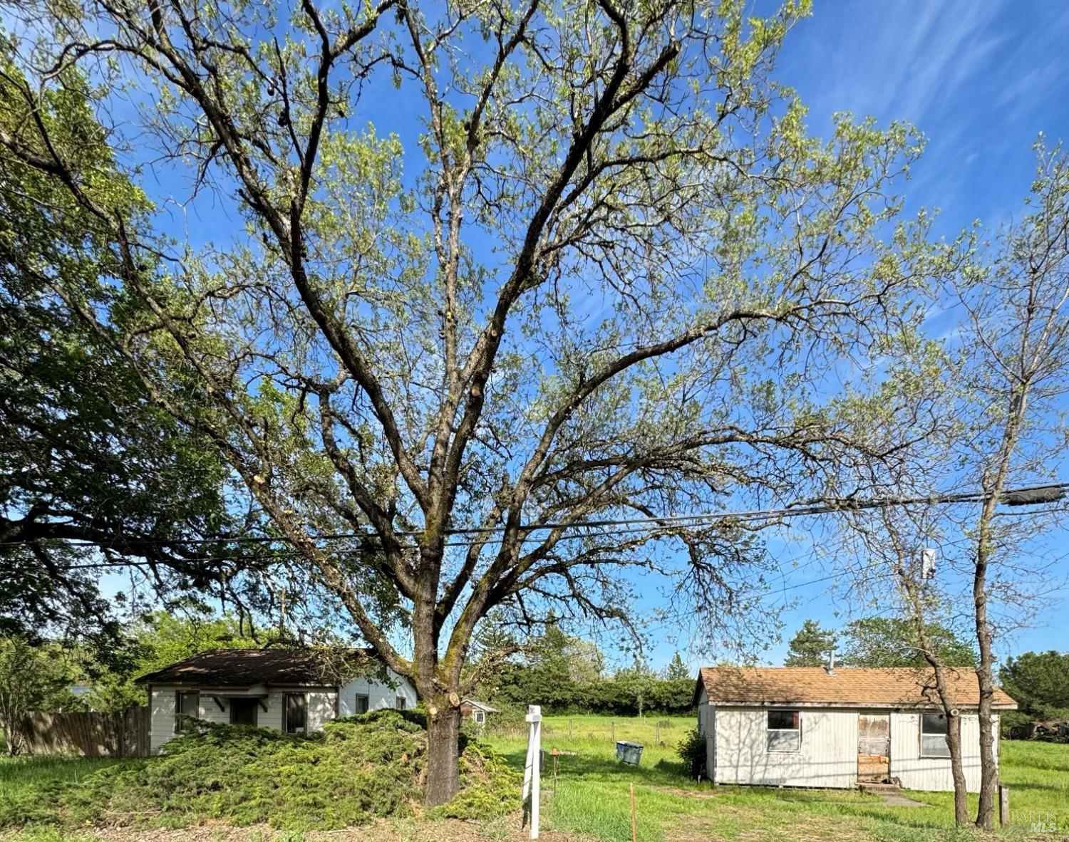 1480 Willowside Road Santa Rosa, CA 95401 - Photo 1 of 1 a view of a yard with large trees