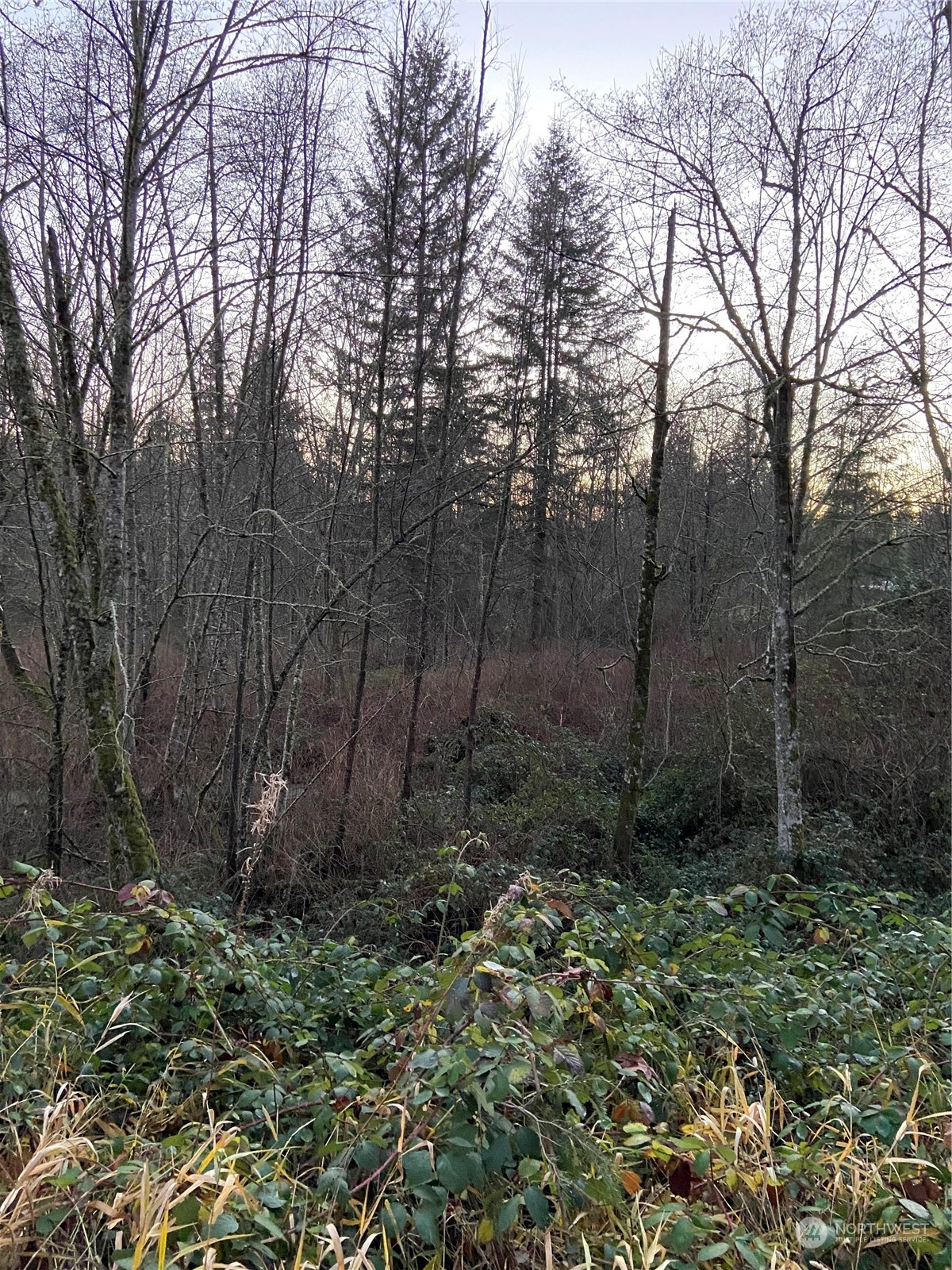 9214 Grandview Road Arlington, WA 98223 - Photo 3 of 7 Gallery Image 3