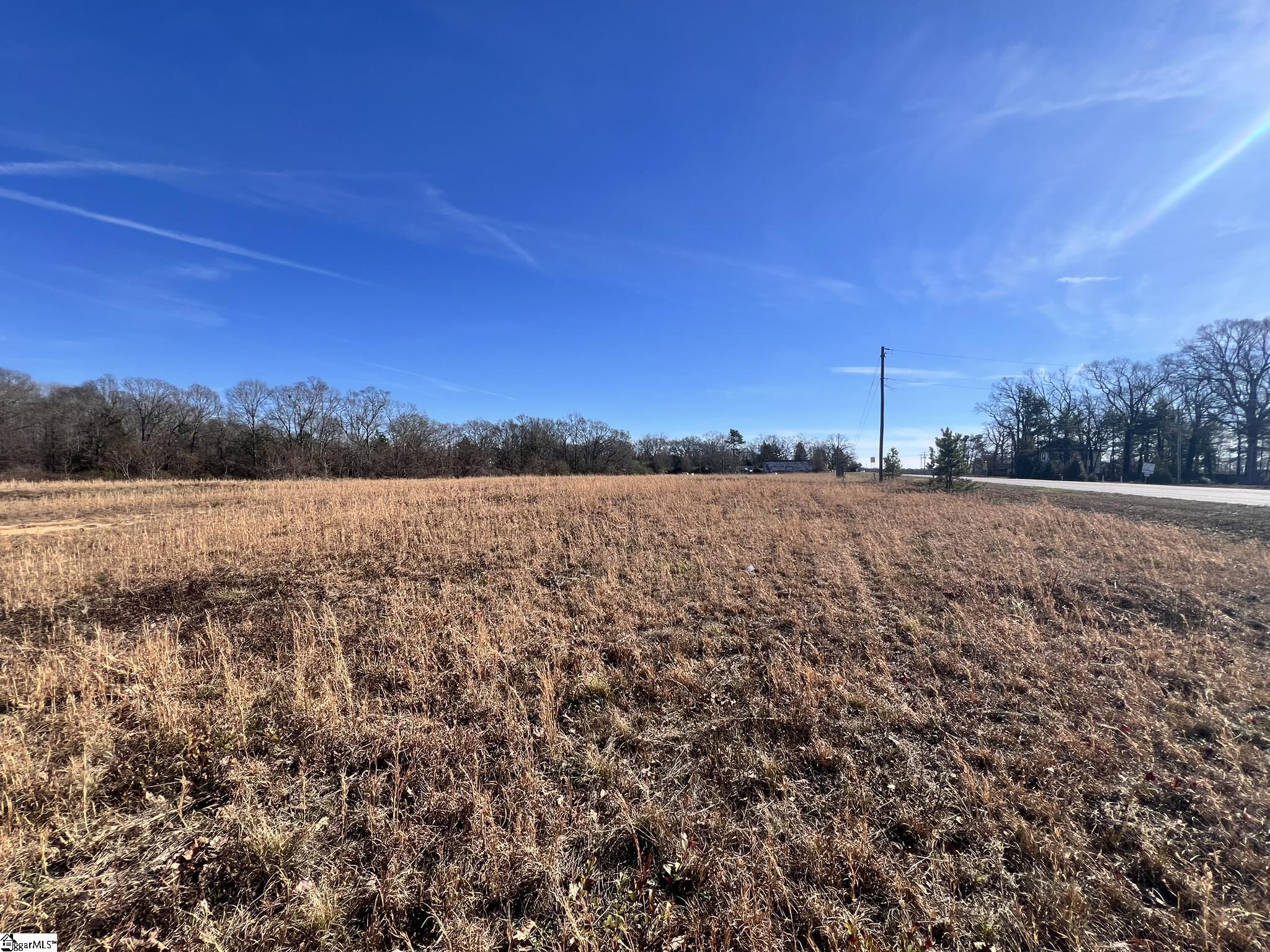 9005 Augusta Road Pelzer, SC 29669 - Photo 4 of 14
