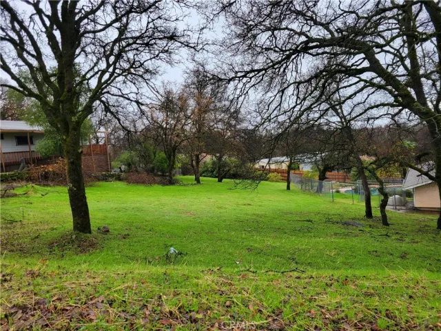 a view of park space