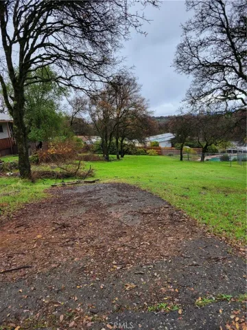 a view of a park with large trees