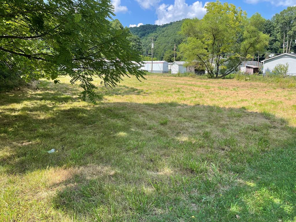 Tbd Bridge Street, Unit 89 Raven, VA 24639 - Photo 1 of 4 Gallery Image 1