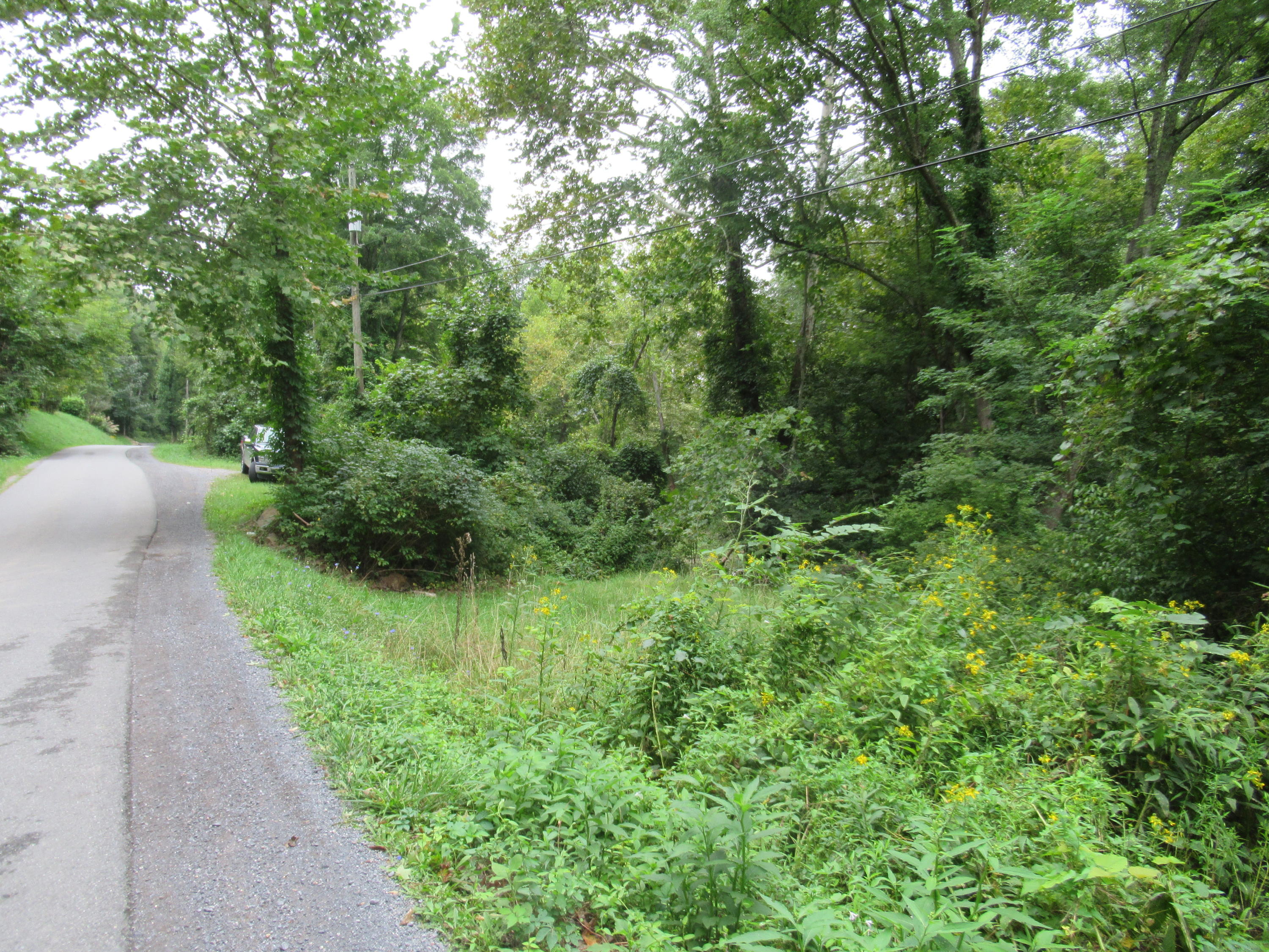 460 Coffman Hill Road Ronceverte, WV 24970 - Photo 17 of 27 Gallery Image 17