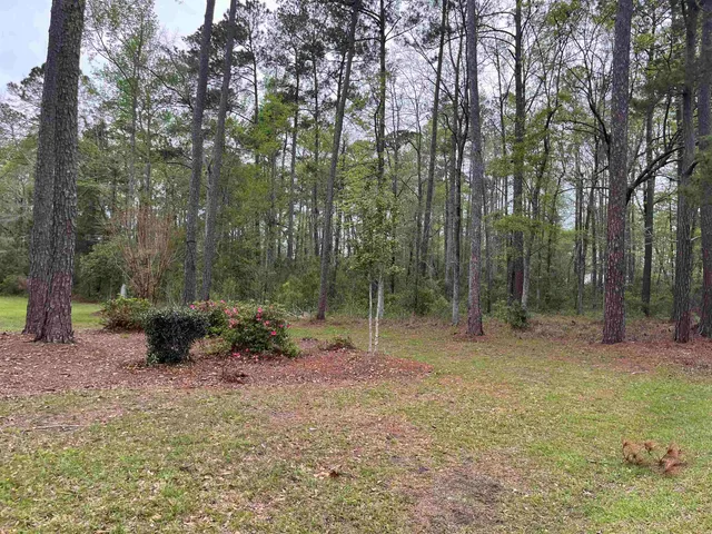 $25,000 | Lot 5 South Persimmon Ford Road, Johnsonville, SC 29555