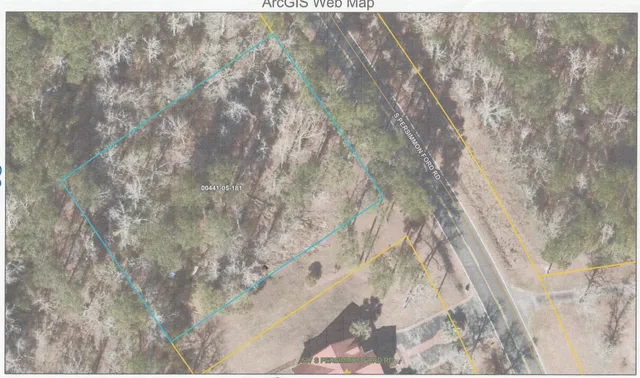 $25,000 | Lot 5 South Persimmon Ford Road, Johnsonville, SC 29555