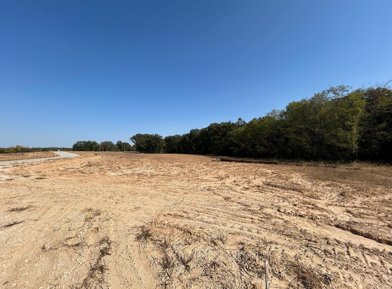 0 Lot Crossing Foristell, MO 63348 - Photo 3 of 5