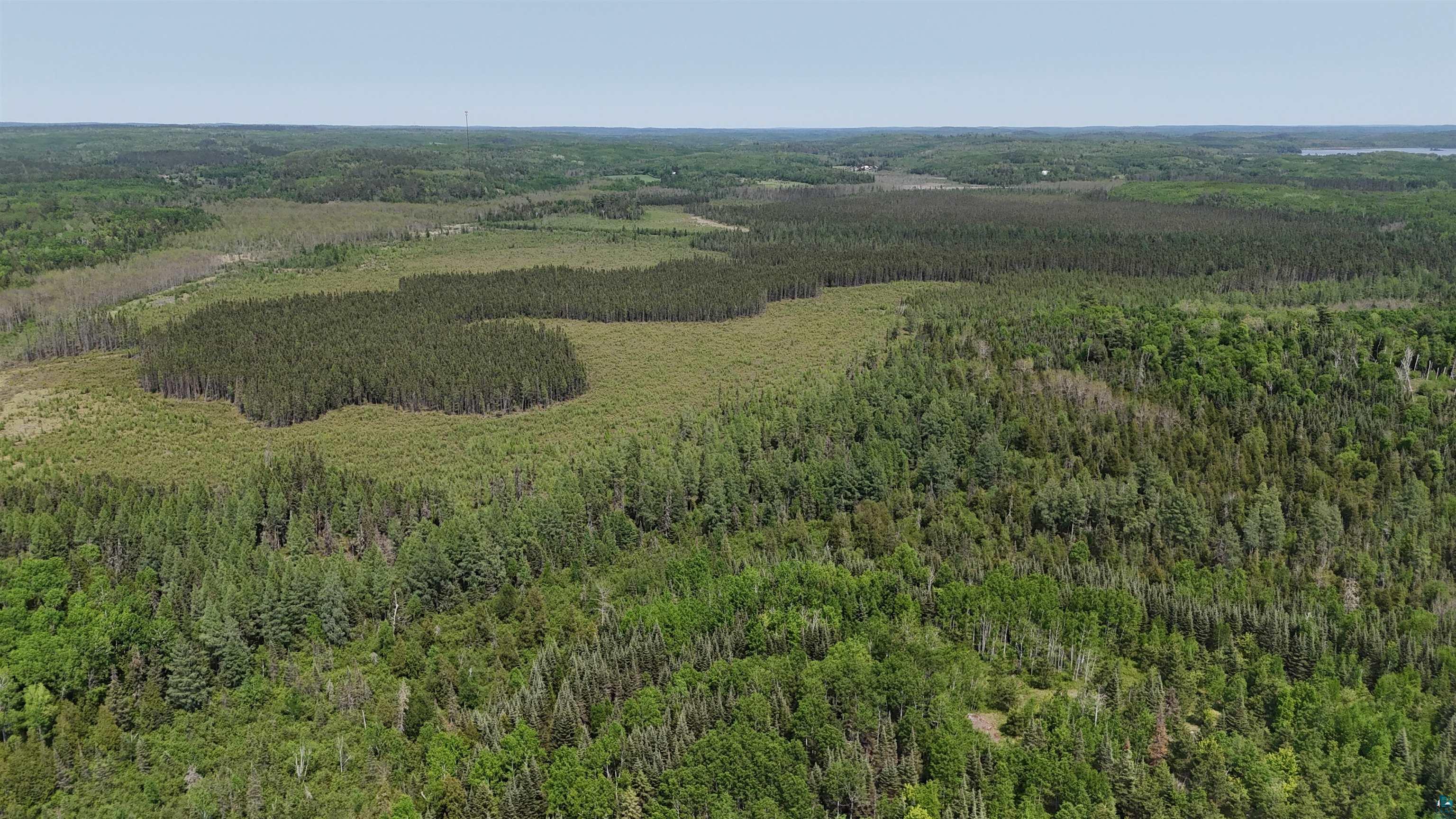 11.82 Bessette Road Orr, MN 55771 - Photo 43 of 44 Bird's eye view of a forest