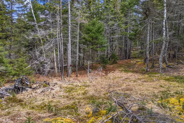 $295,000 | 12-d 12i Mildred Grace Road, Islesboro, ME 04848