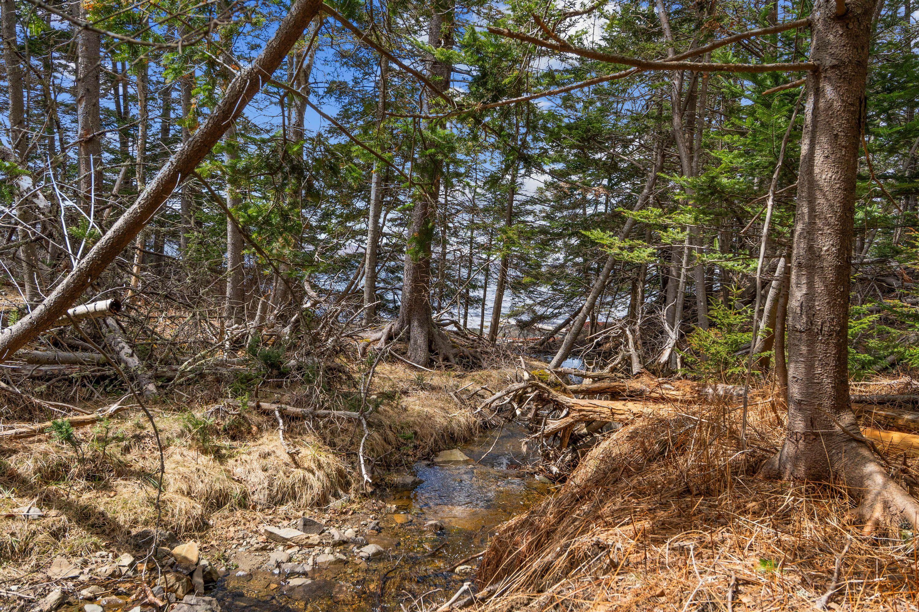 12-d 12i Mildred Grace Road Islesboro, ME 04848 - Photo 13 of 18 creek 4