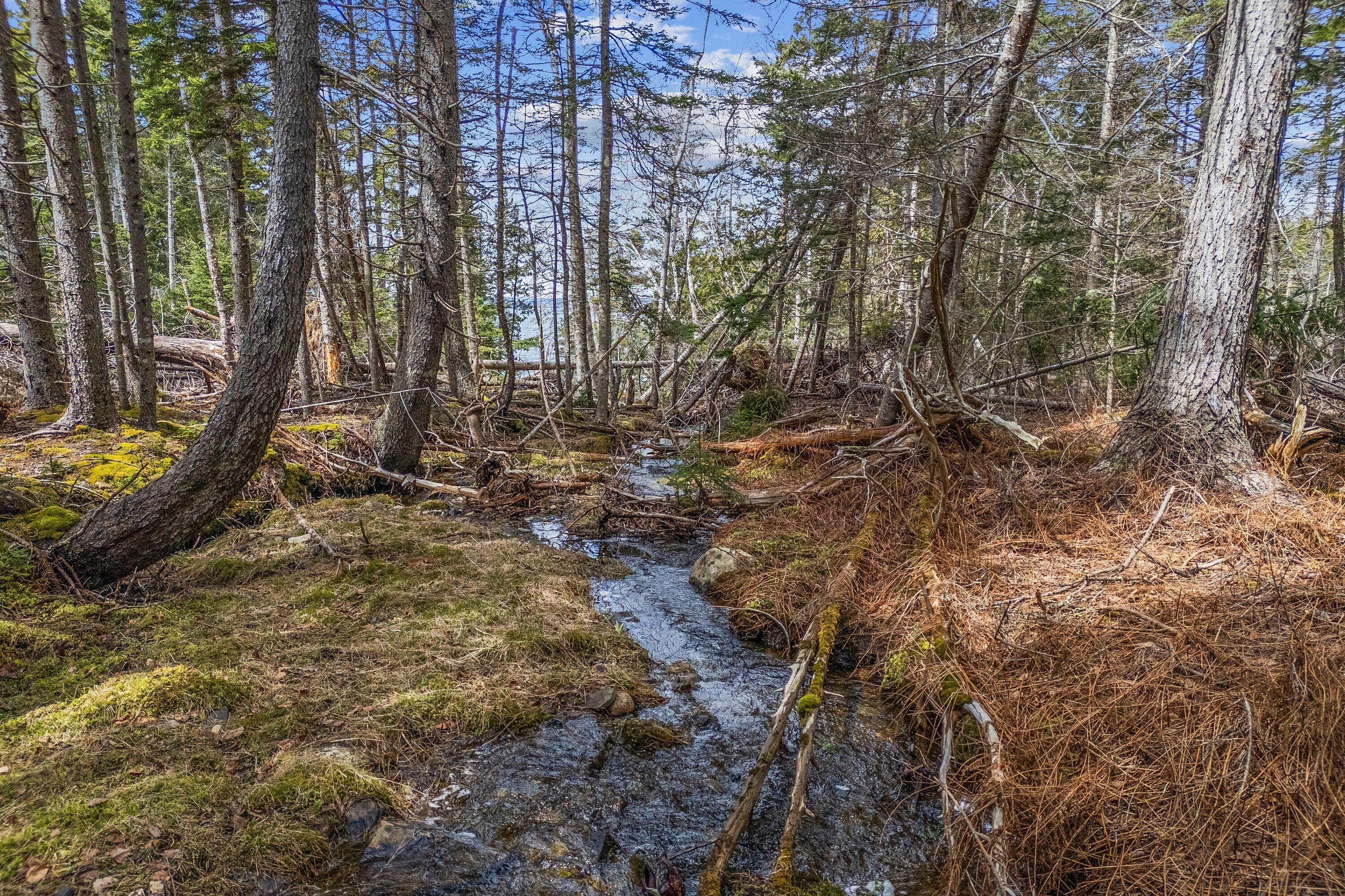 12-d 12i Mildred Grace Road Islesboro, ME 04848 - Photo 14 of 18 creek 2