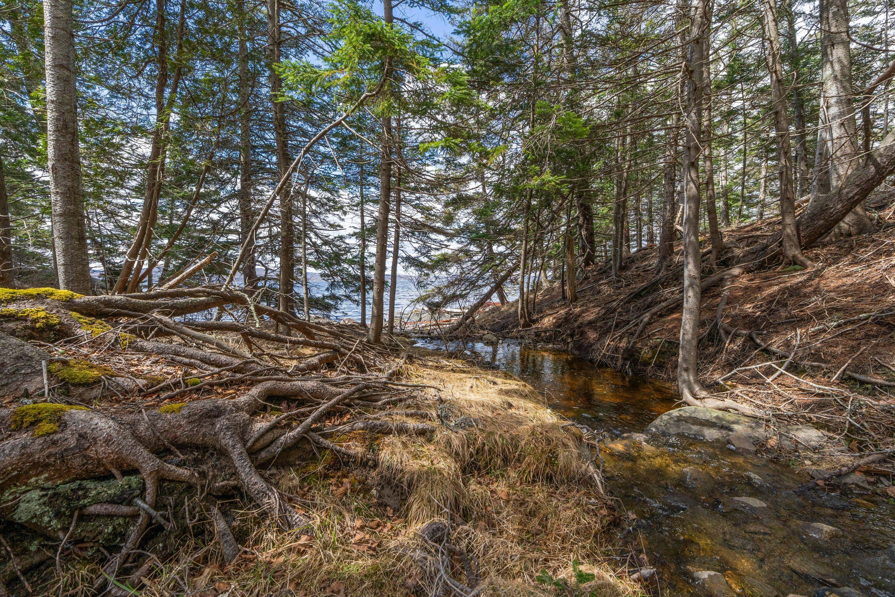 12-d 12i Mildred Grace Road Islesboro, ME 04848 - Photo 15 of 18 creek 1