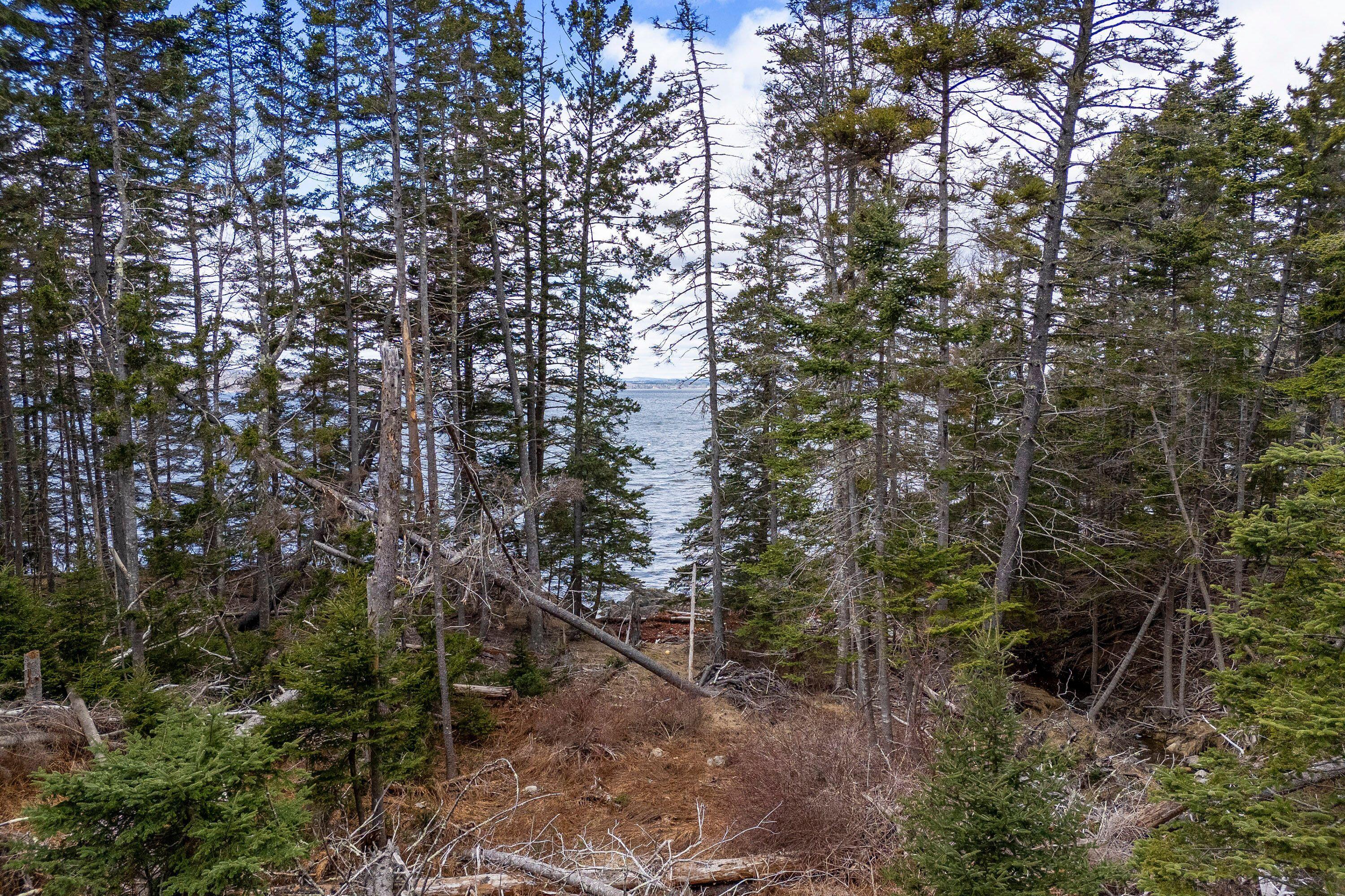 12-d 12i Mildred Grace Road Islesboro, ME 04848 - Photo 16 of 18 path down to shore