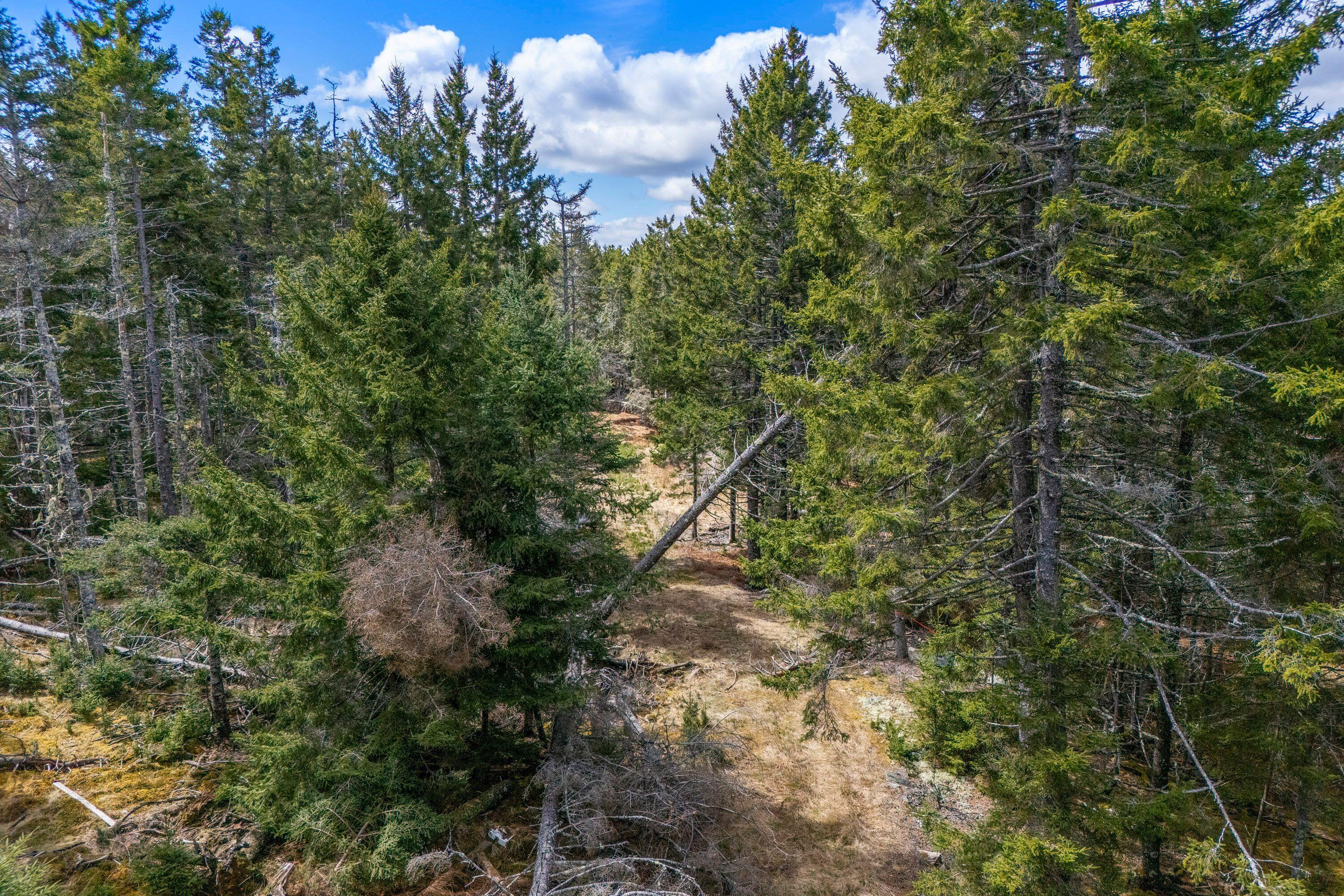 12-d 12i Mildred Grace Road Islesboro, ME 04848 - Photo 7 of 18 path