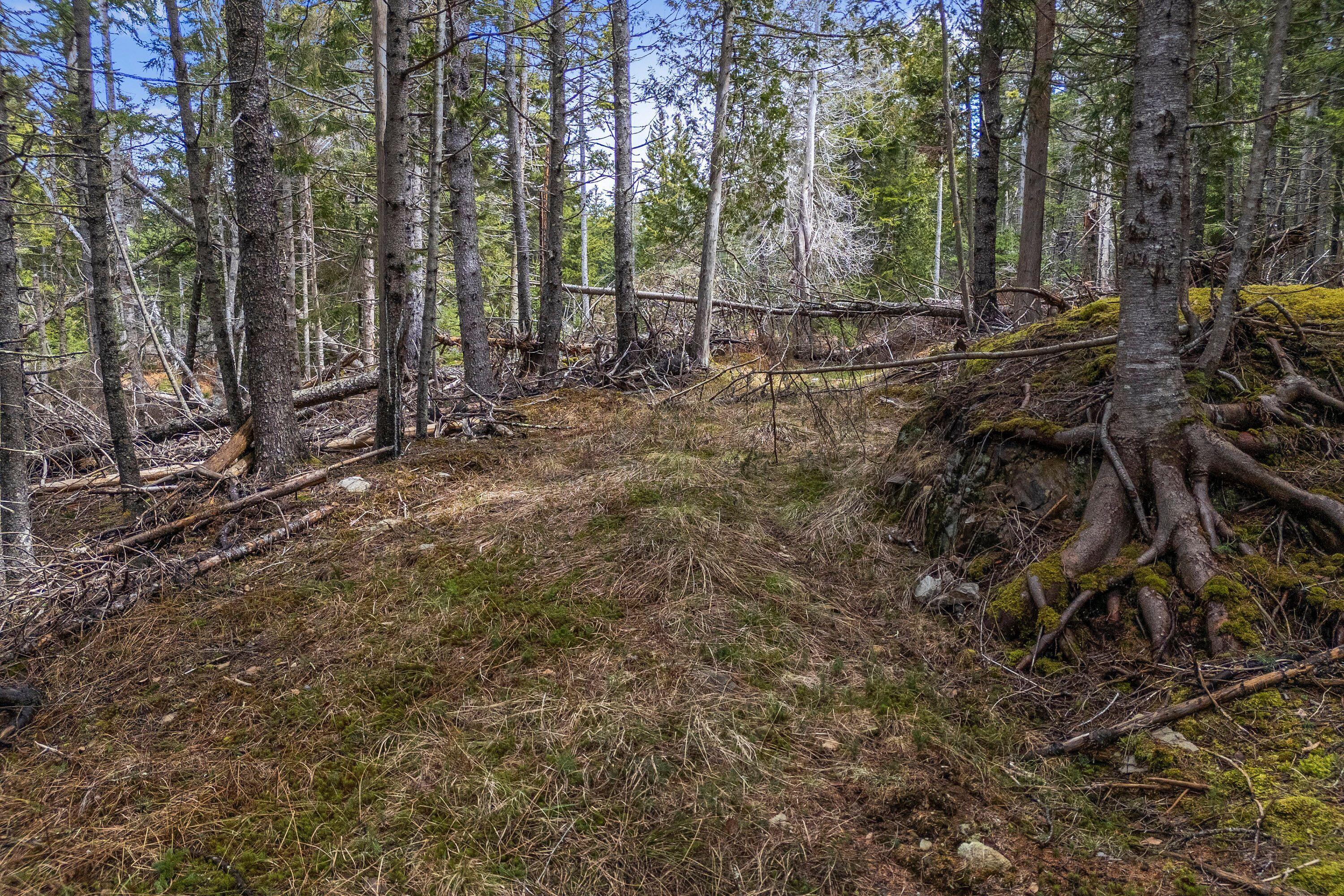 12-d 12i Mildred Grace Road Islesboro, ME 04848 - Photo 9 of 18 land 2