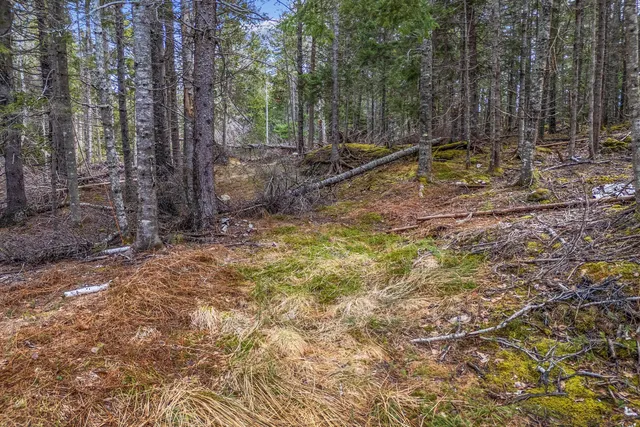 $295,000 | 12-d 12i Mildred Grace Road, Islesboro, ME 04848