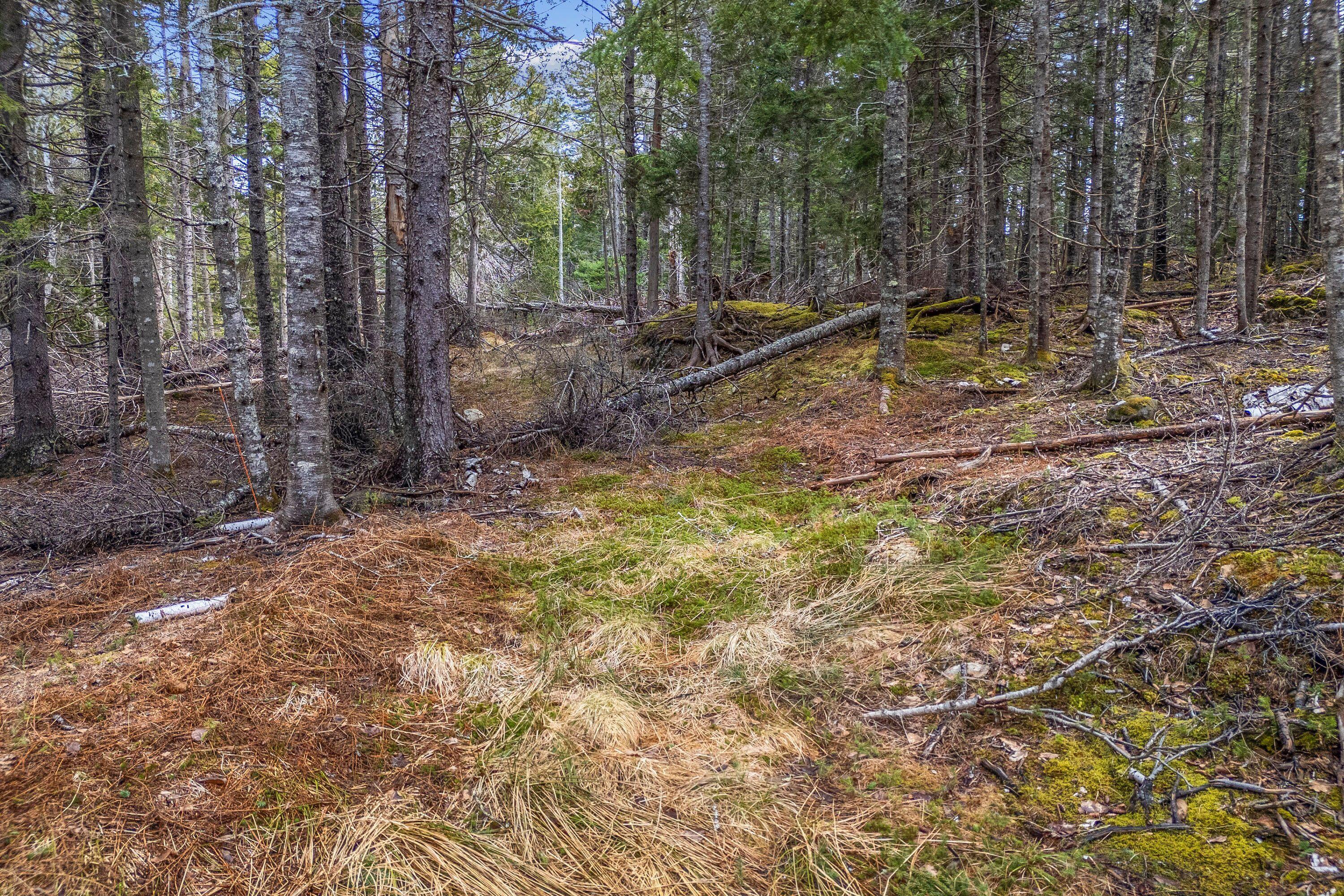 12-d 12i Mildred Grace Road Islesboro, ME 04848 - Photo 10 of 18 land