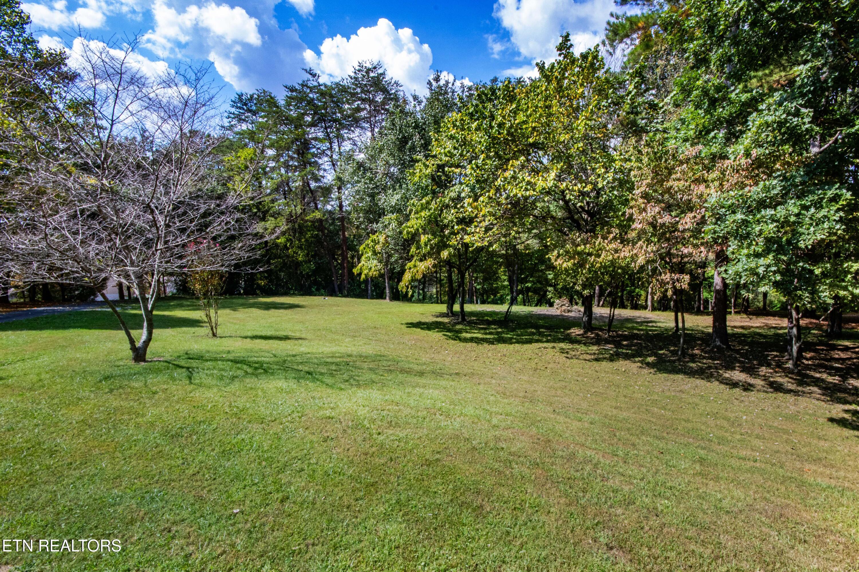1424 Hickey Road Knoxville, TN 37932 - Photo 18 of 25 V19A2963