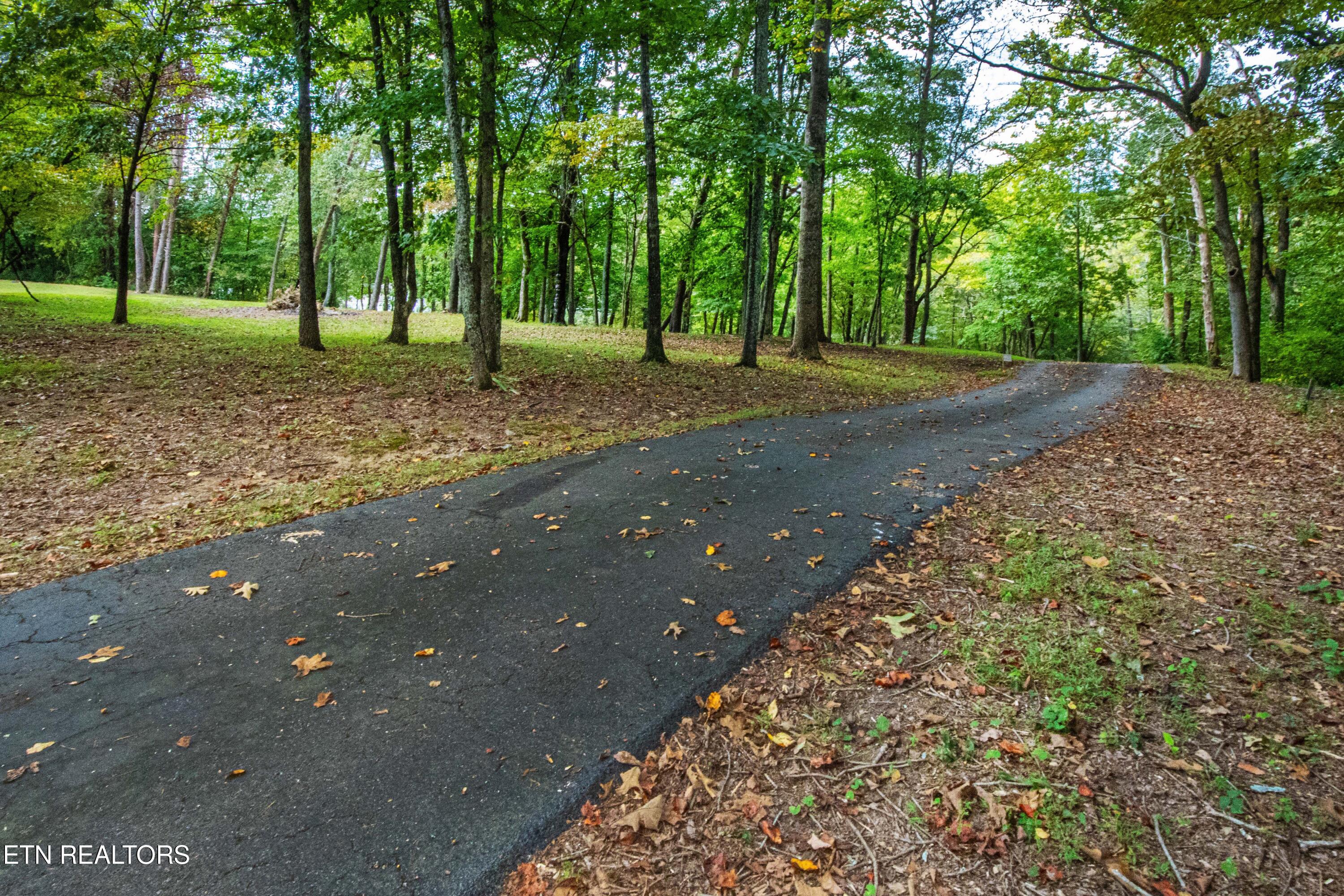 1424 Hickey Road Knoxville, TN 37932 - Photo 23 of 25 V19A2988