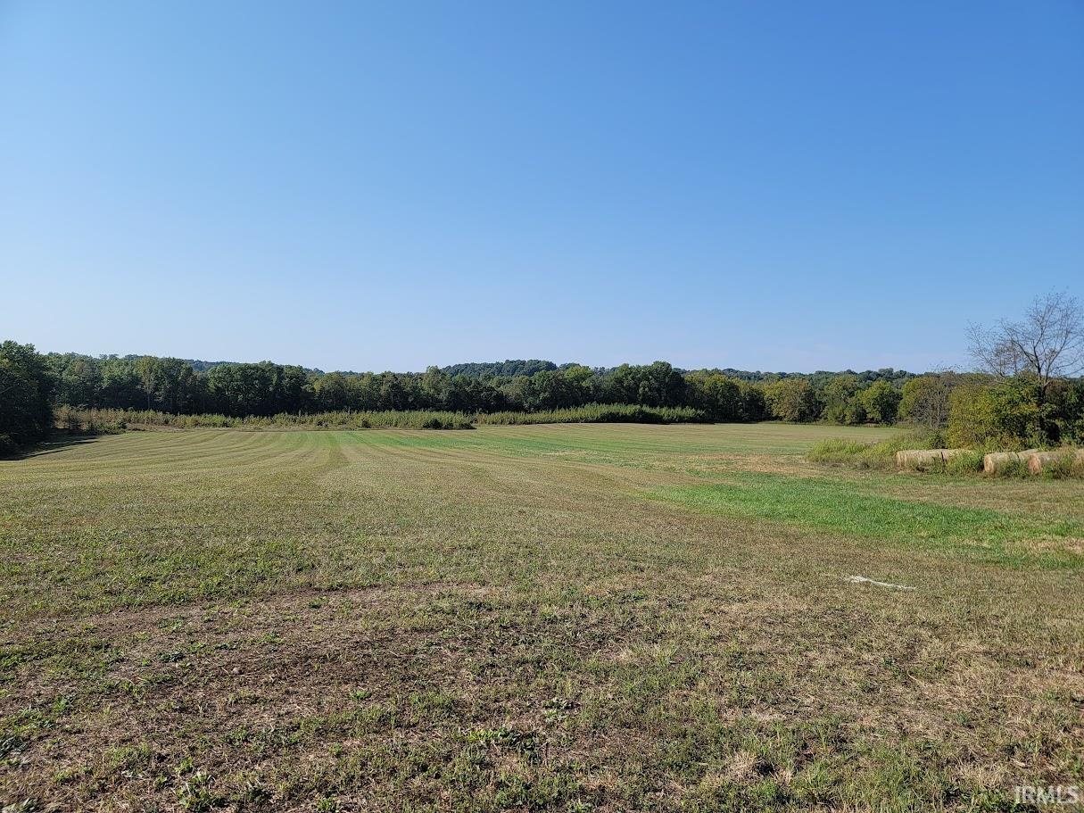 1719 South Haslers Road Bloomfield, IN 47424 - Photo 12 of 29