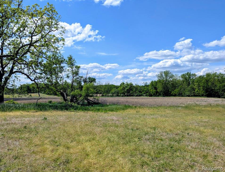 Parcel A - Rolston Road Gaines, MI 48451 - Photo 17 of 19