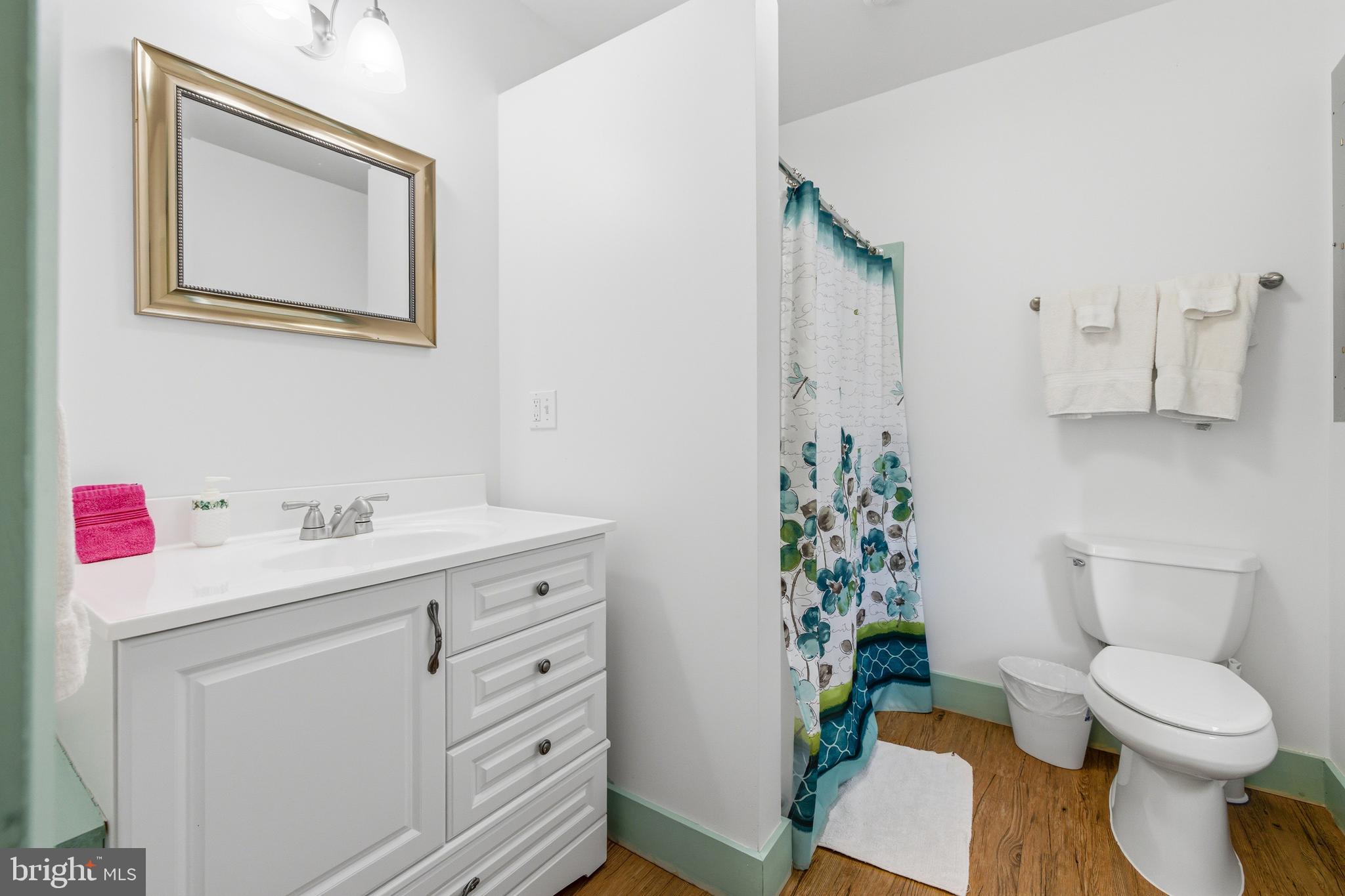 5329 Farmview Road Stanley, VA 22851 - Photo 53 of 111 a bathroom with a sink toilet and a mirror