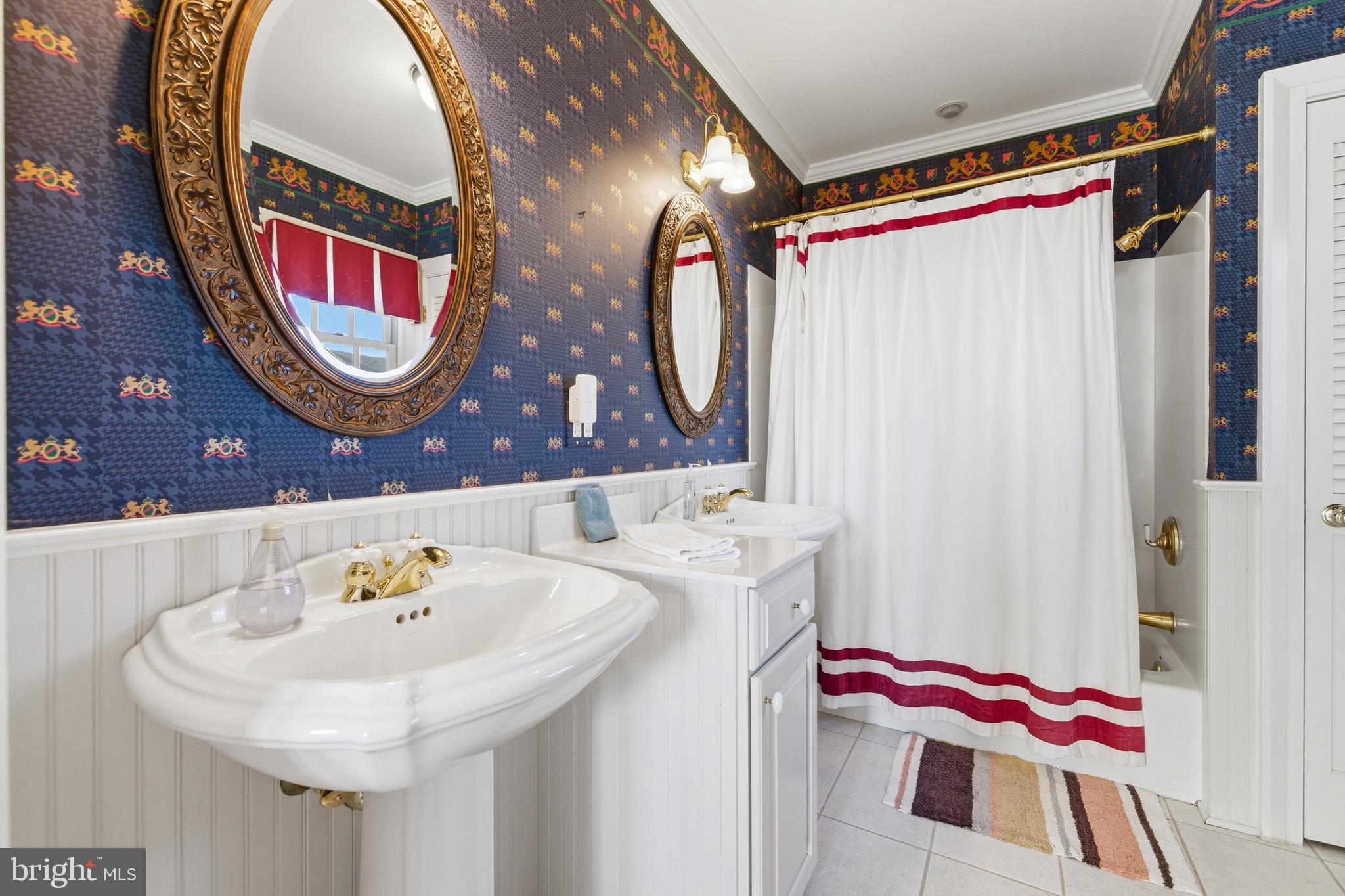 5329 Farmview Road Stanley, VA 22851 - Photo 54 of 111 a bathroom with a sink and a mirror
