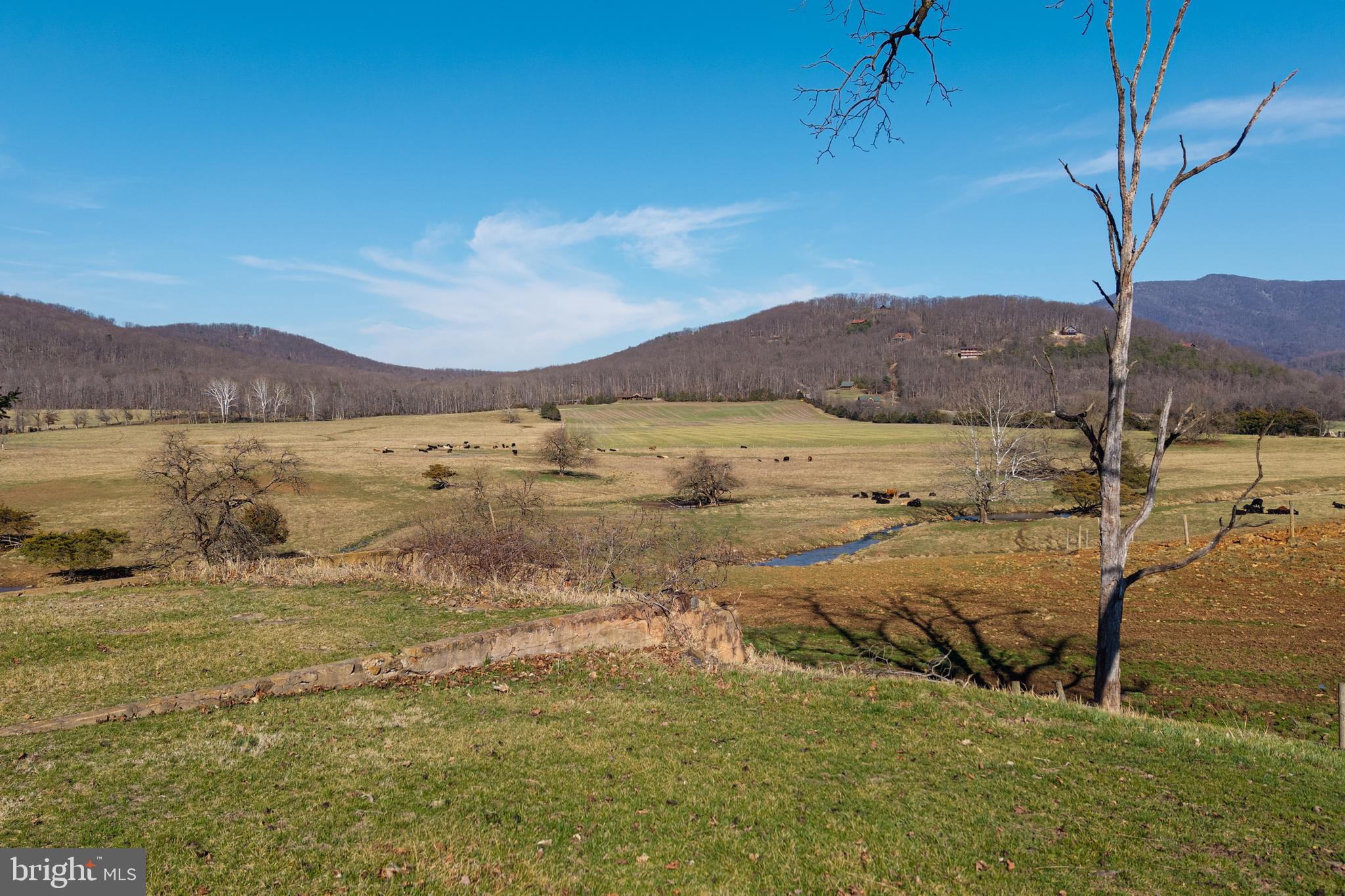 5329 Farmview Road Stanley, VA 22851 - Photo 89 of 111
