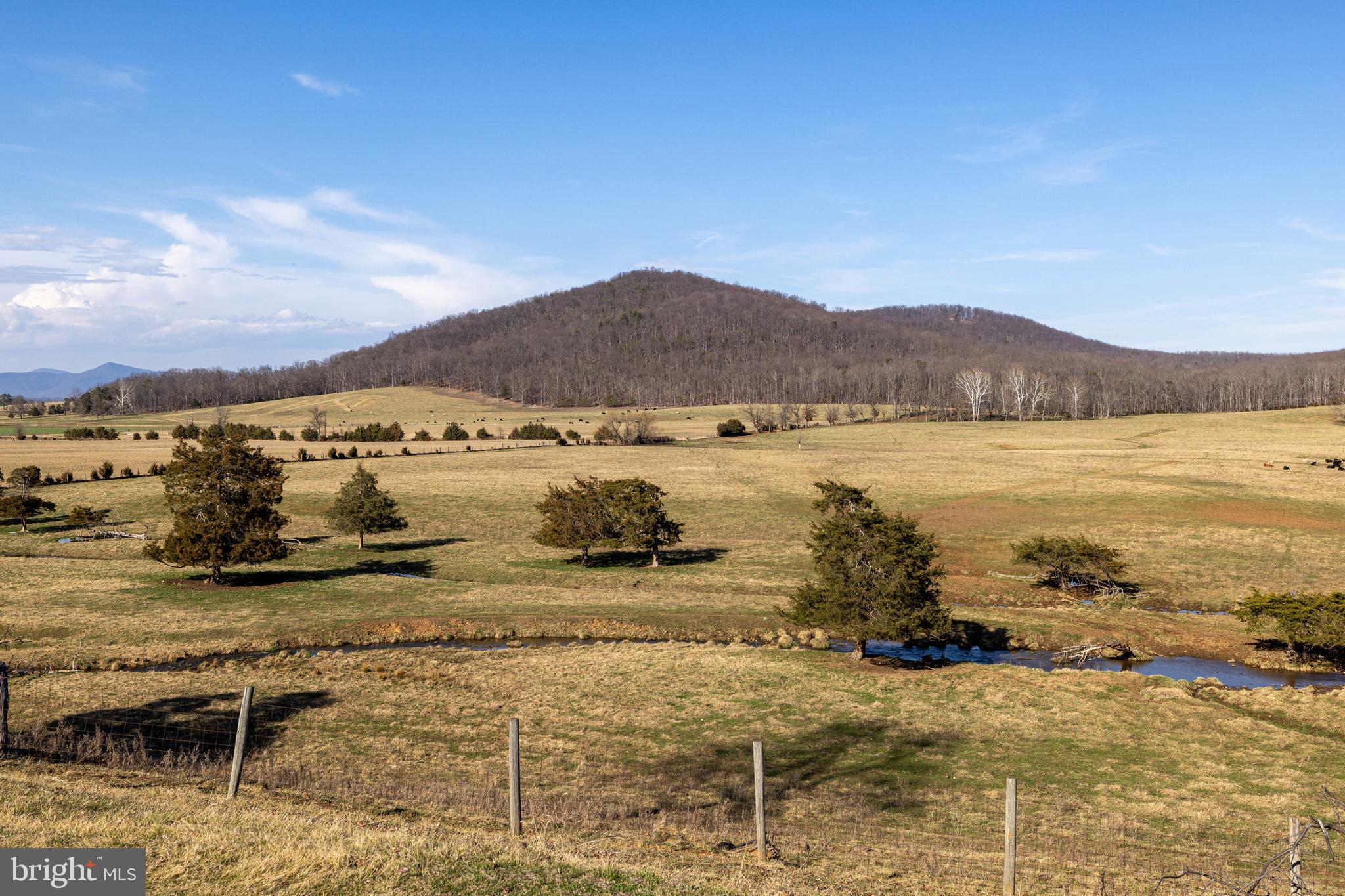 5329 Farmview Road Stanley, VA 22851 - Photo 92 of 111