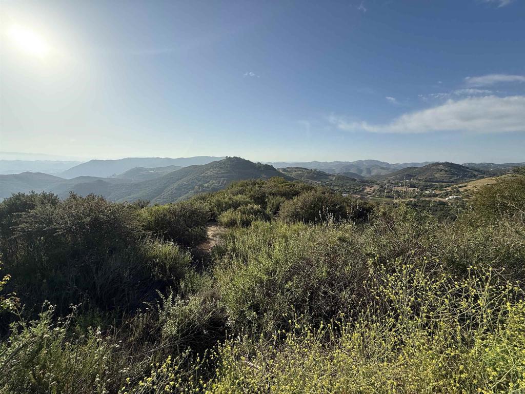 Rainbow Glen Road Fallbrook, CA 92028 - Photo 15 of 26 a view of a lush green field with lots of bushes